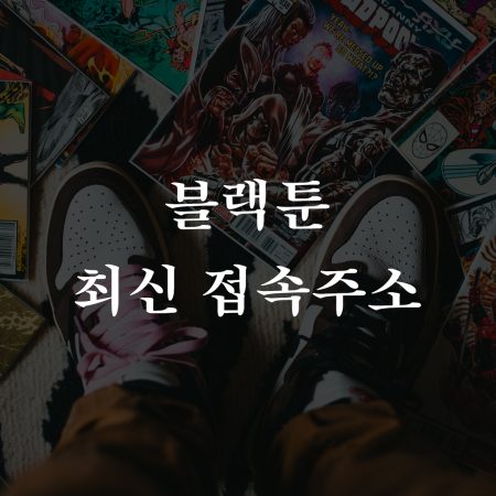 블랙툰(blacktoon) 최신 접속주소 바로가기 (2024년)